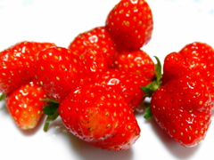 不揃いのイチゴ達