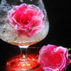 グラスと赤い薔薇