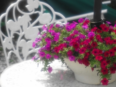 庭のガーデンテーブル