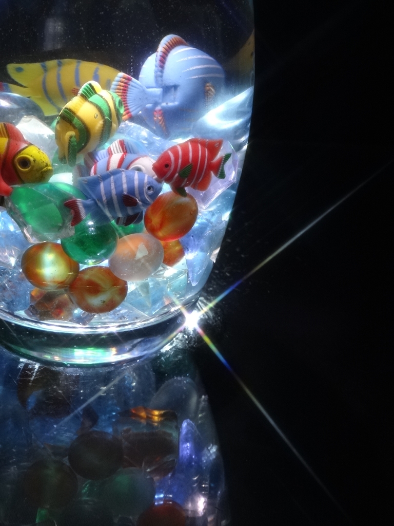 我が家の水族館