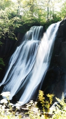 鱒見の滝