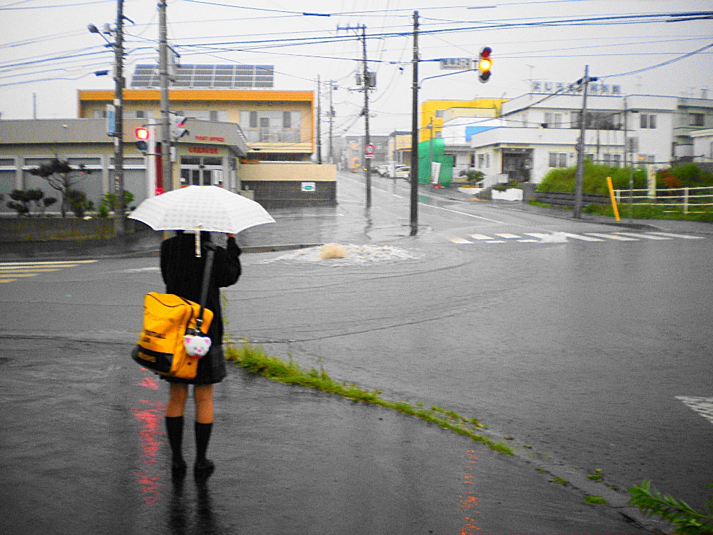 ゲリラ豪雨