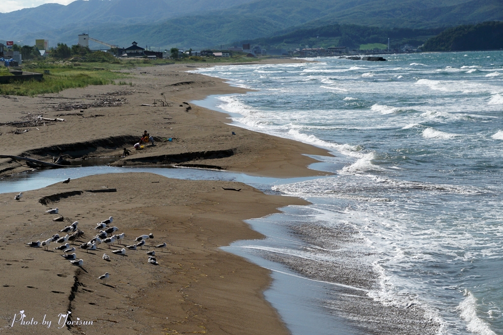 余市の海