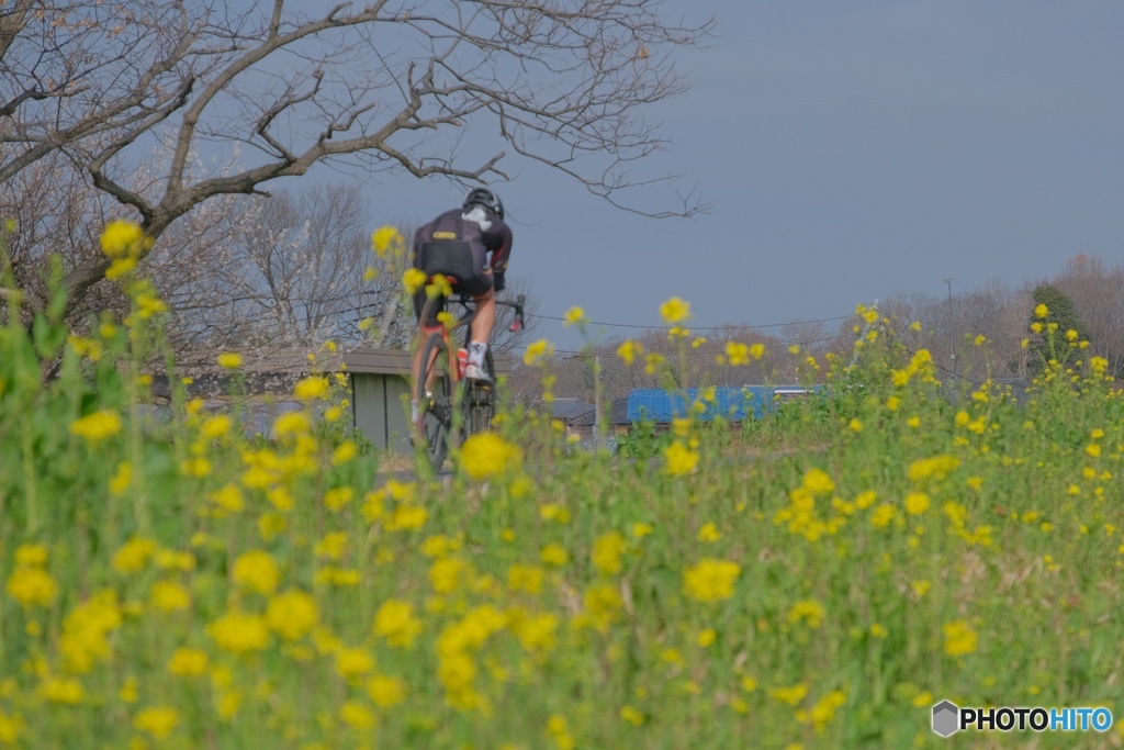 荒川サイクリングロード