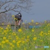 荒川サイクリングロード