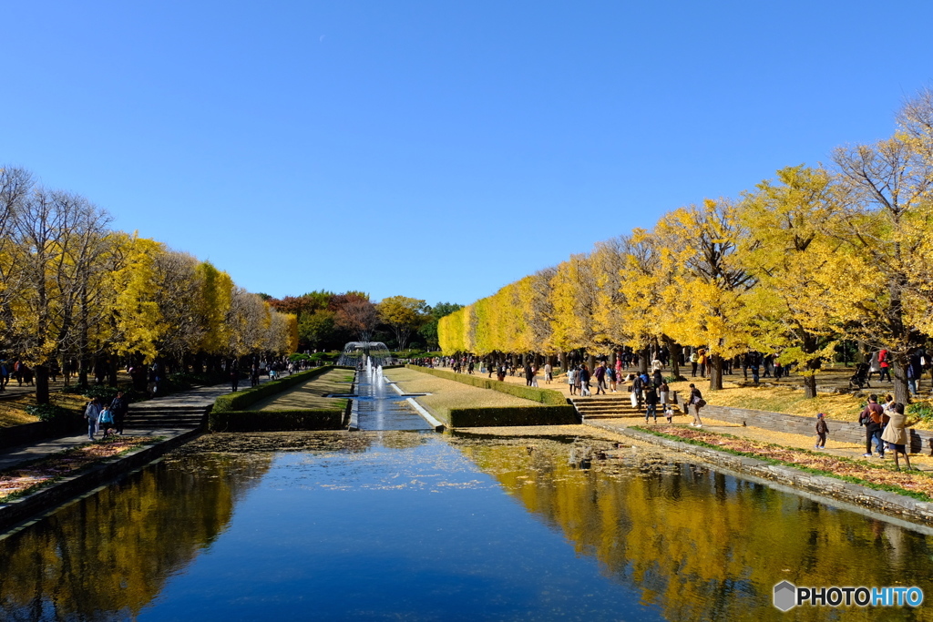 昭和記念公園