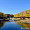 昭和記念公園