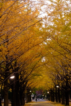 朝日が登る前に