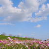 秋空と