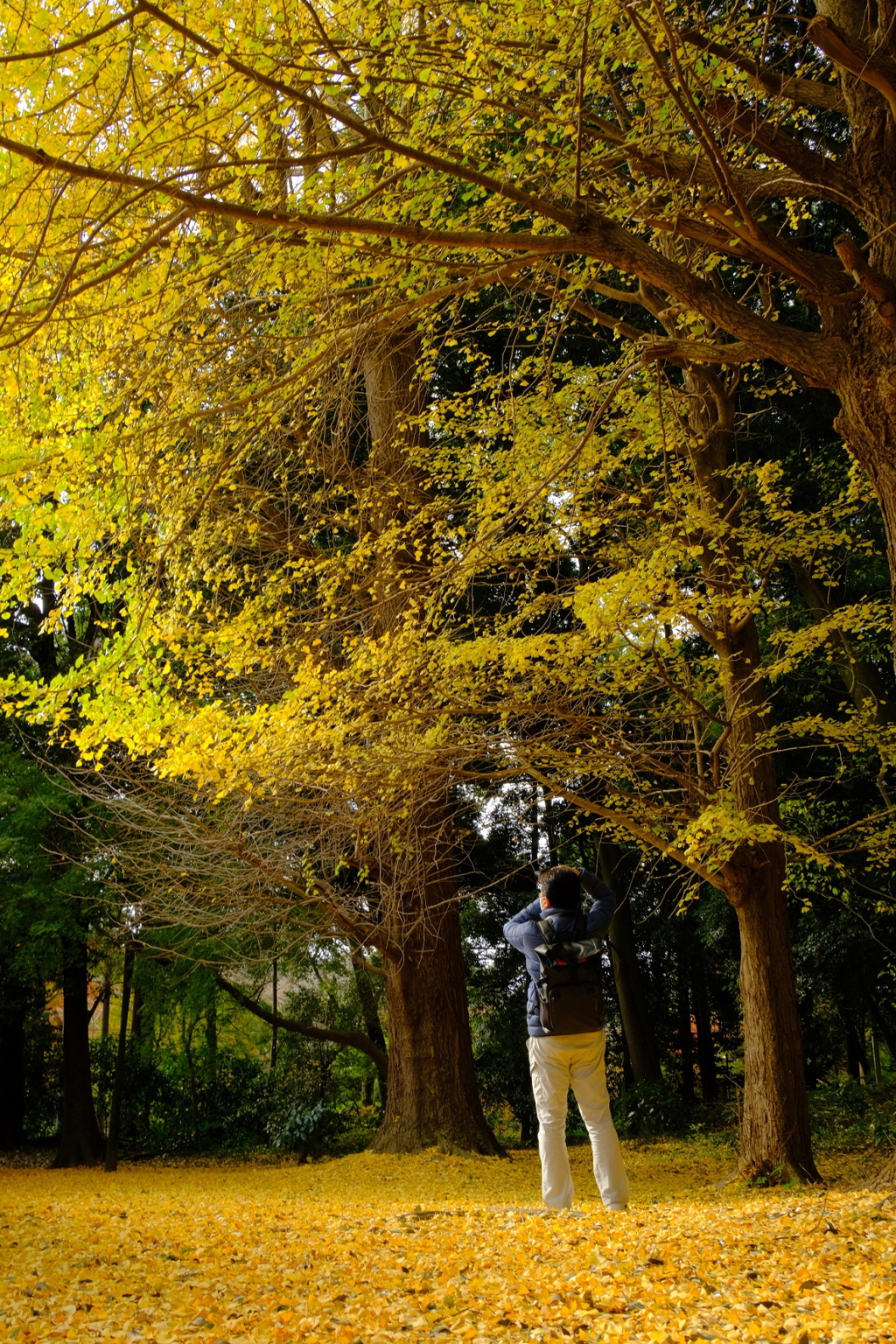 野田市・清水公園にて