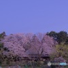 桜家屋