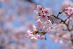 今日はどこへ行こう