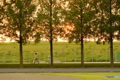 朝の風景