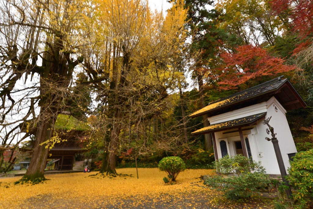 広徳寺II