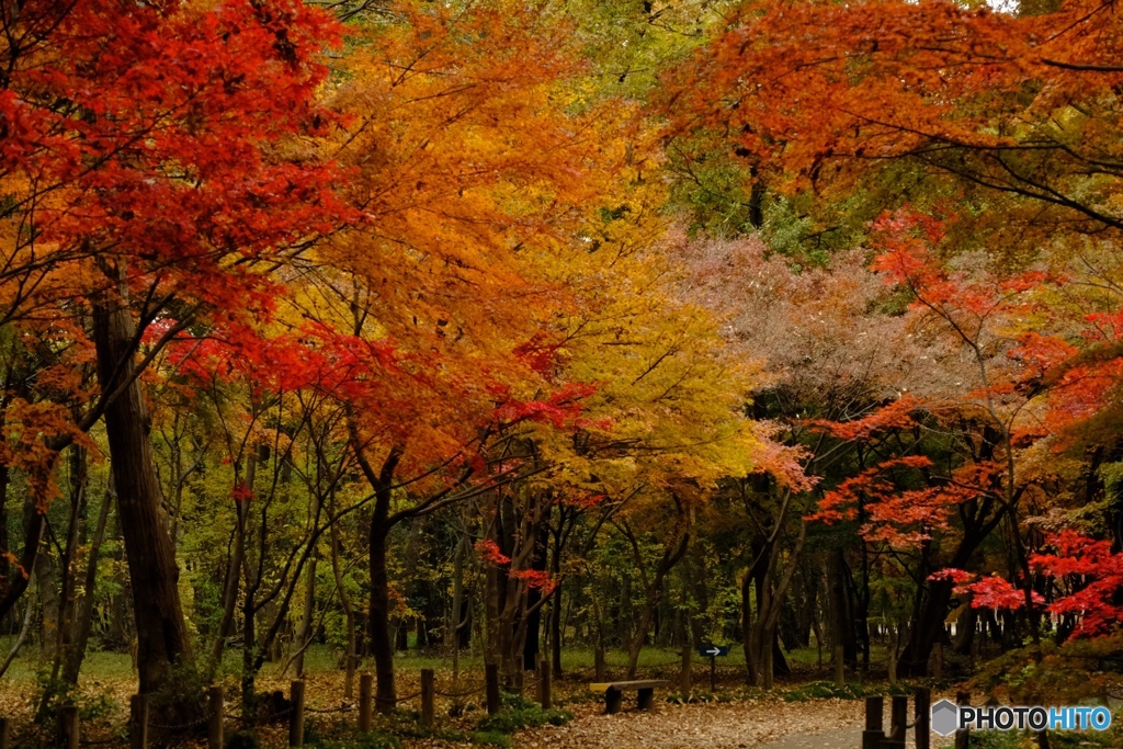 平林寺②