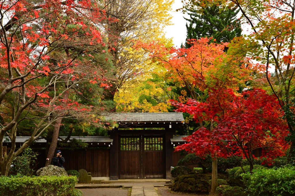 平林寺