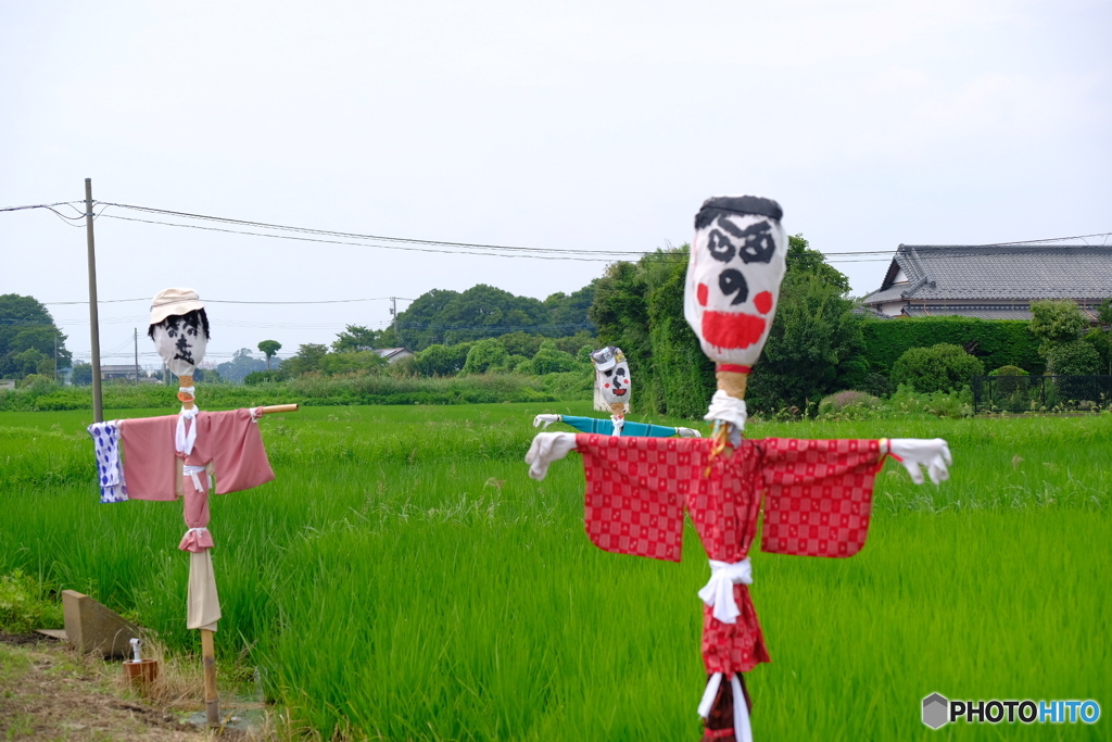 夏の風物詩