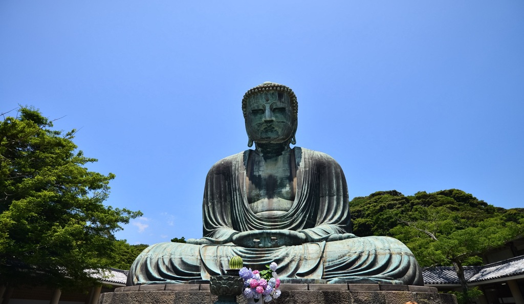 紫陽花と