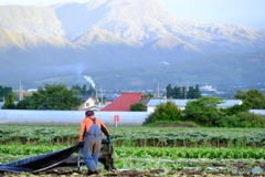 群馬県昭和村③