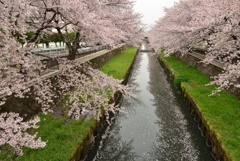 鴻沼川