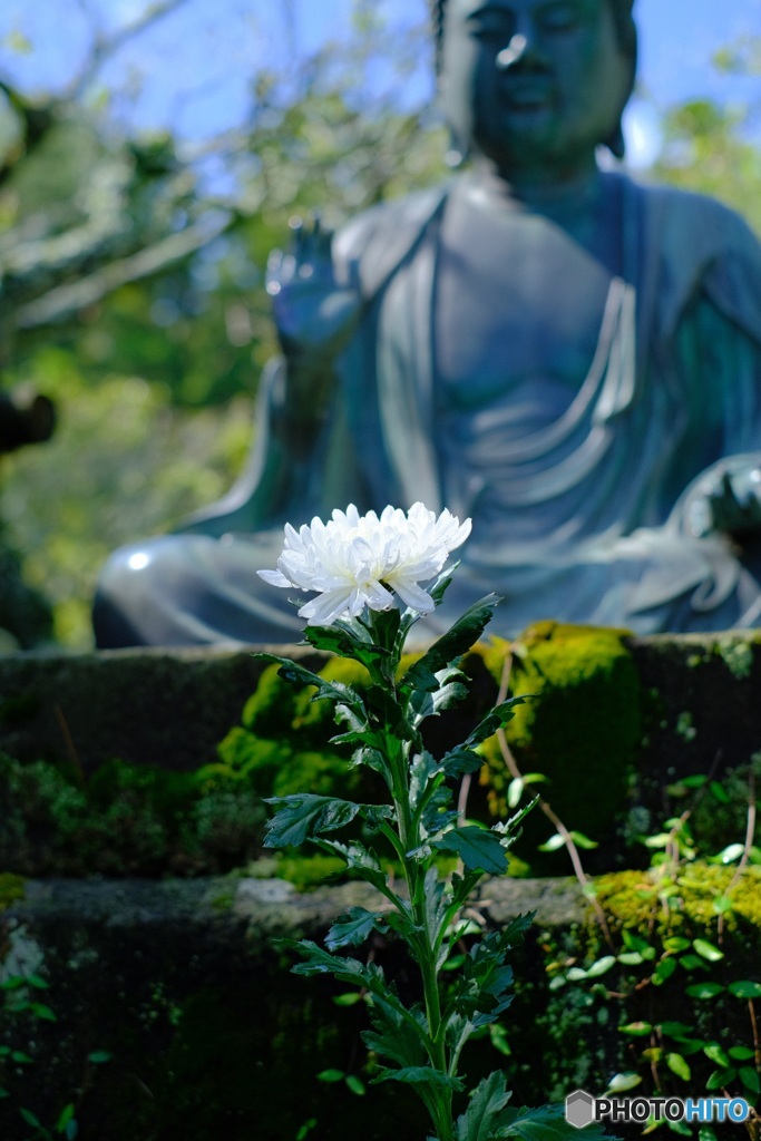 縁切寺