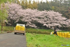 軽トラのある風景