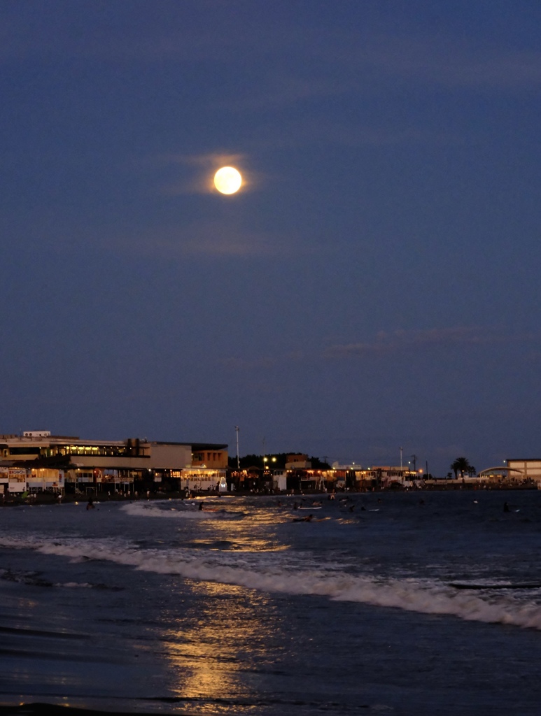 月夜の浜で