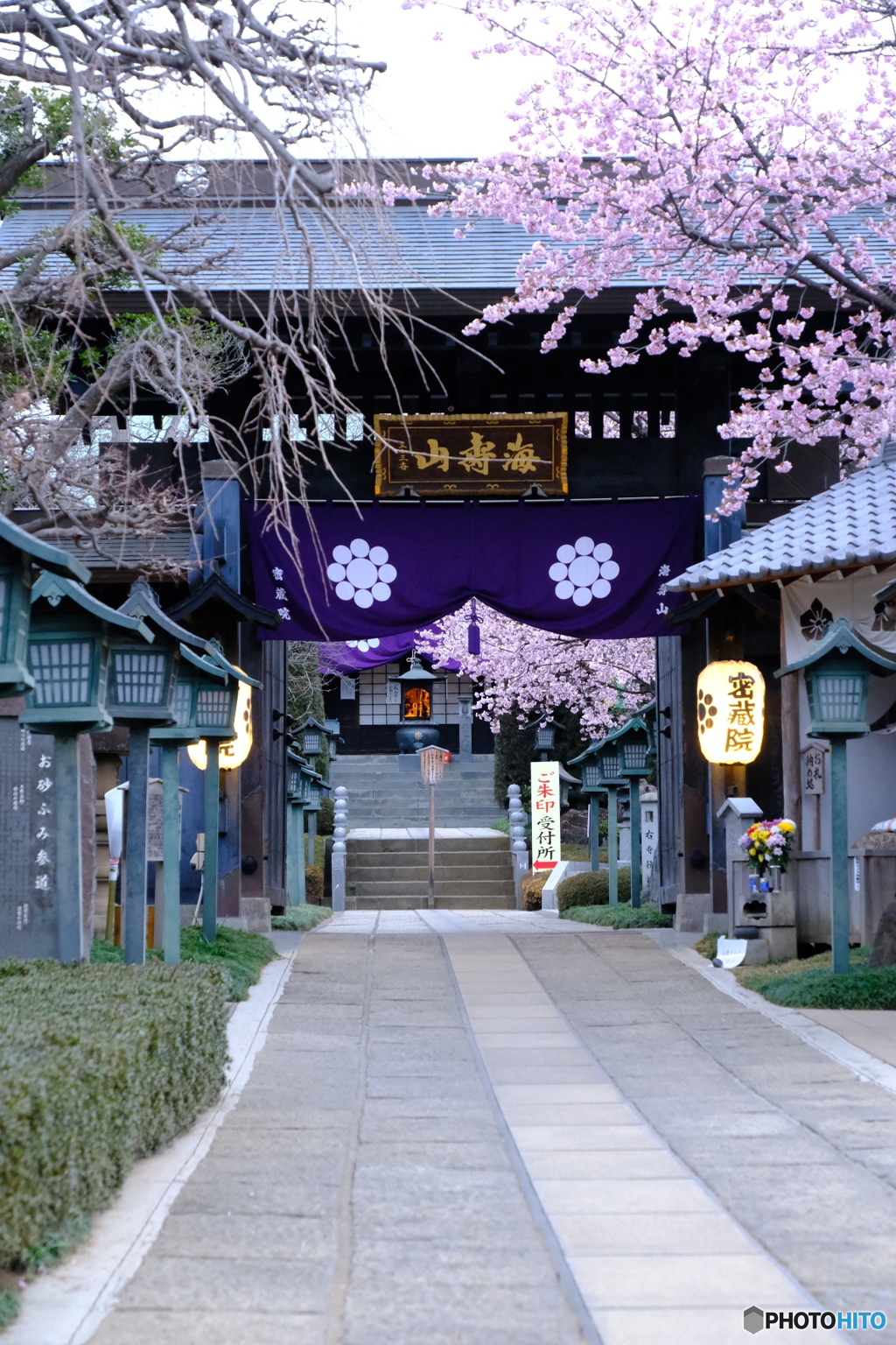 川口・蜜蔵院