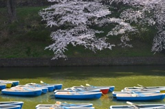 千鳥ヶ淵