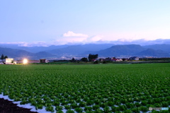 群馬県昭和村①