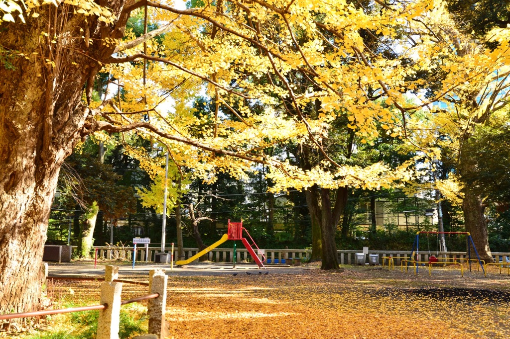 赤坂氷川神社