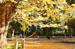 赤坂氷川神社