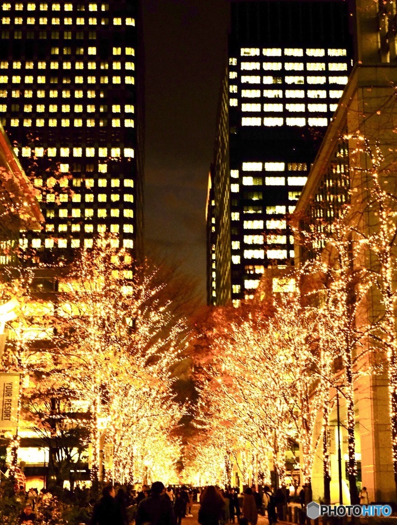 東京・丸の内イルミネーション