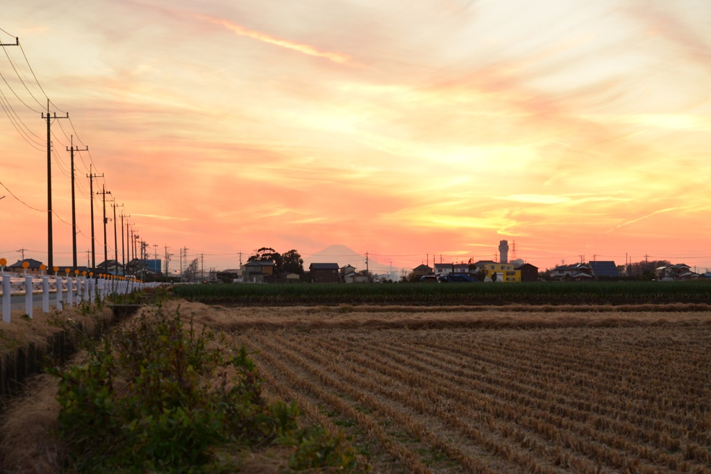 埼玉県越谷市の空