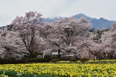 北杜市実相寺