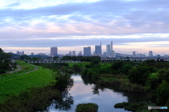 見沼田んぼの朝