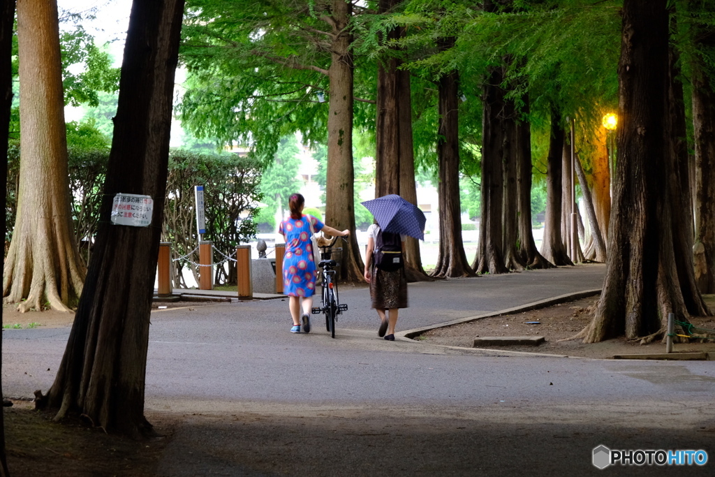 別所沼公園