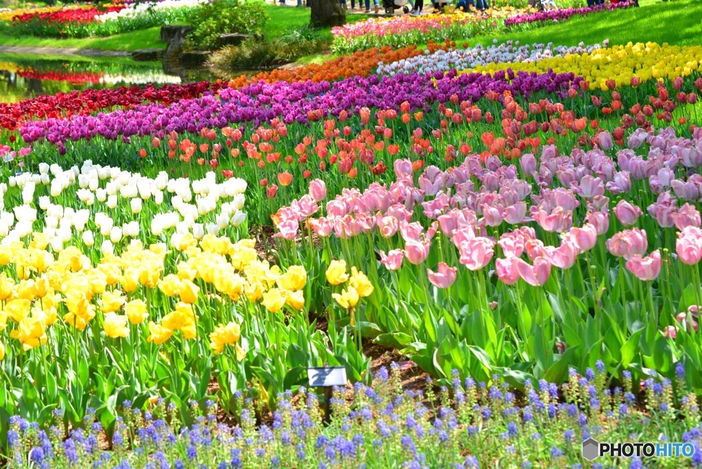 春色に誘われて