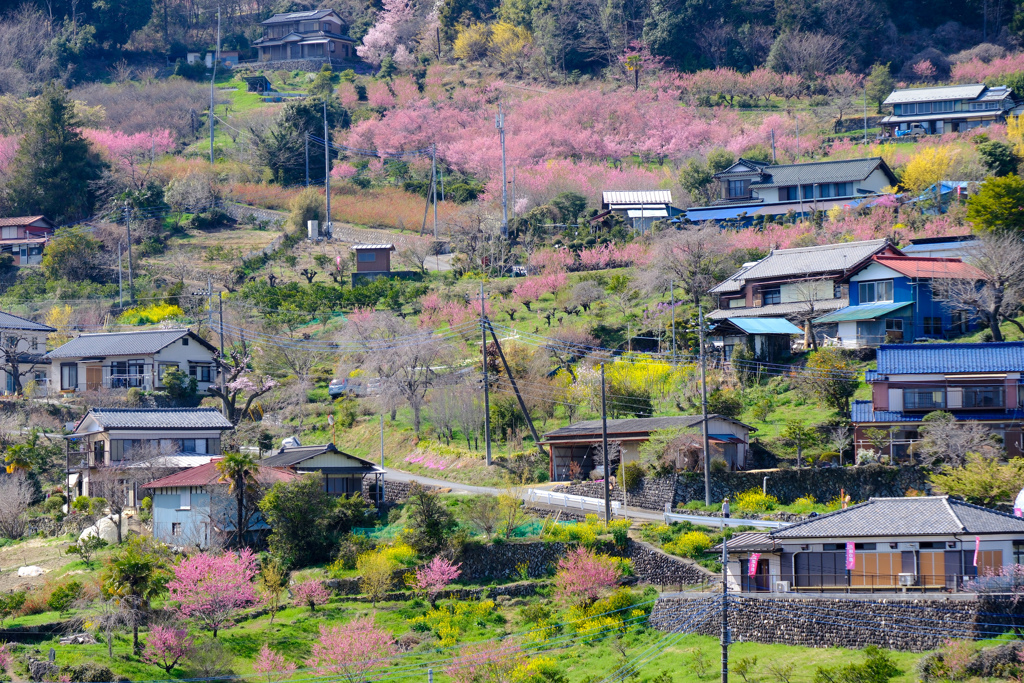 花桃の郷