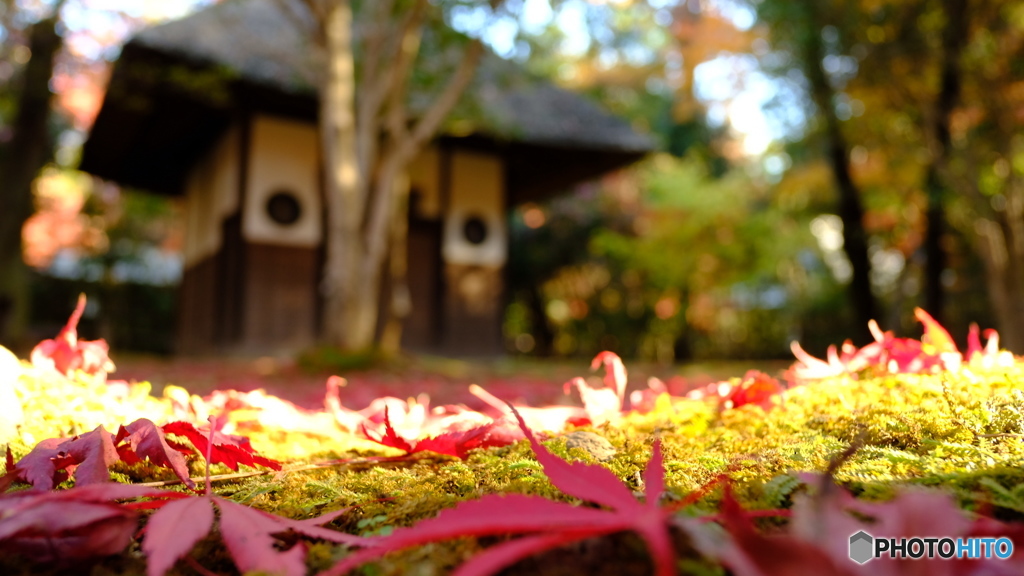 平林寺