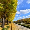 昨年の昭島記念公園