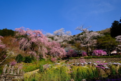 龍珠院