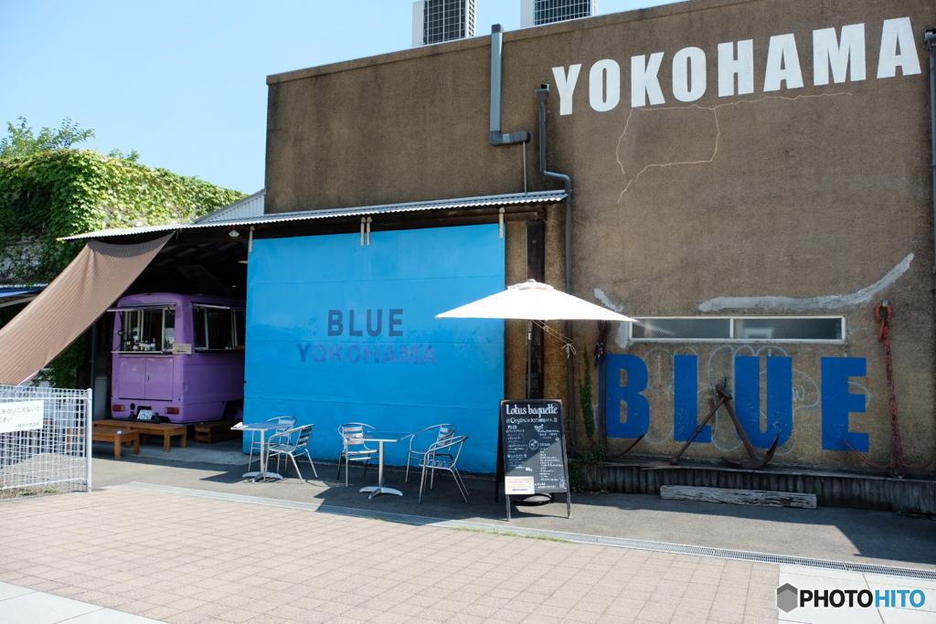 BLUE  YOKOHAMA