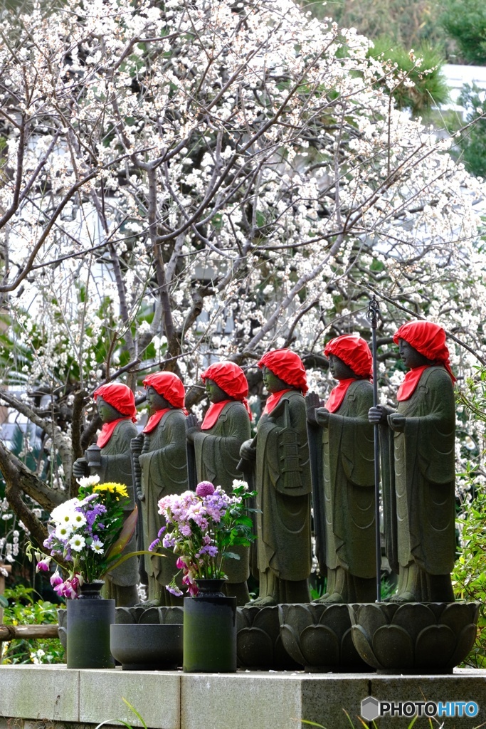 藤沢・常立寺