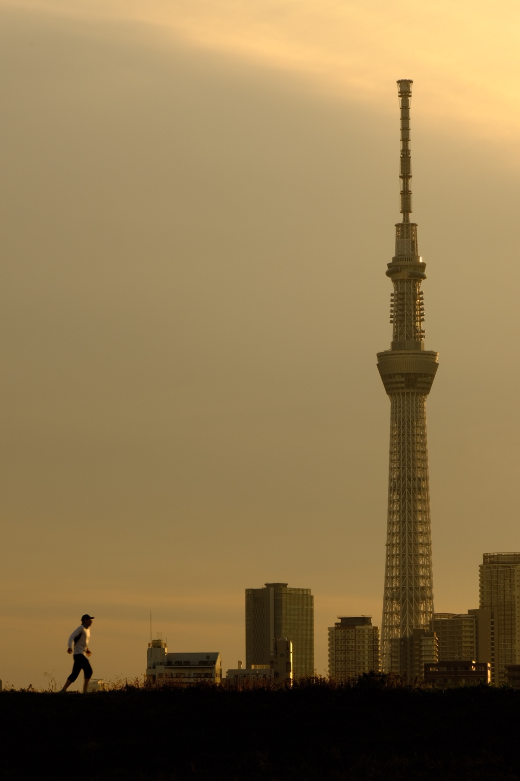 夕陽を浴びて