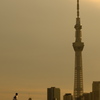 夕陽を浴びて