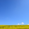 青空と