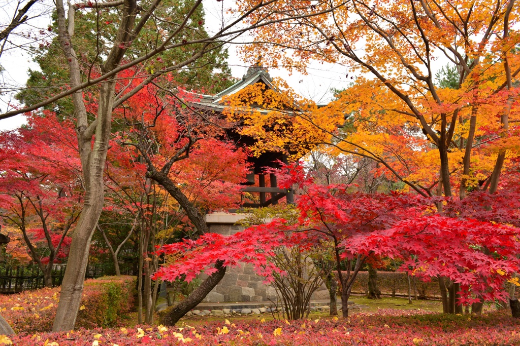 平林寺I