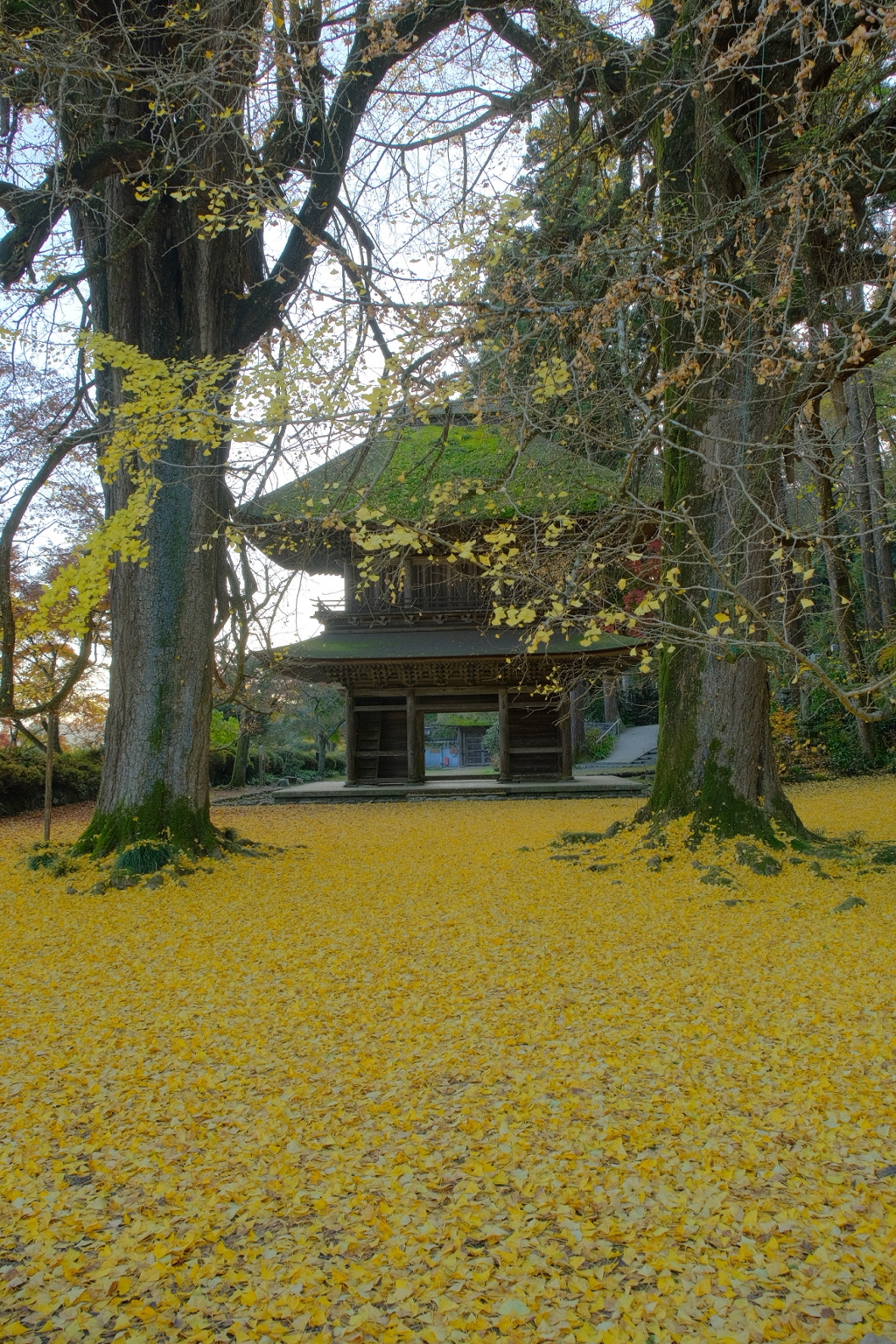 あきる野市・広徳寺