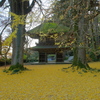 あきる野市・広徳寺